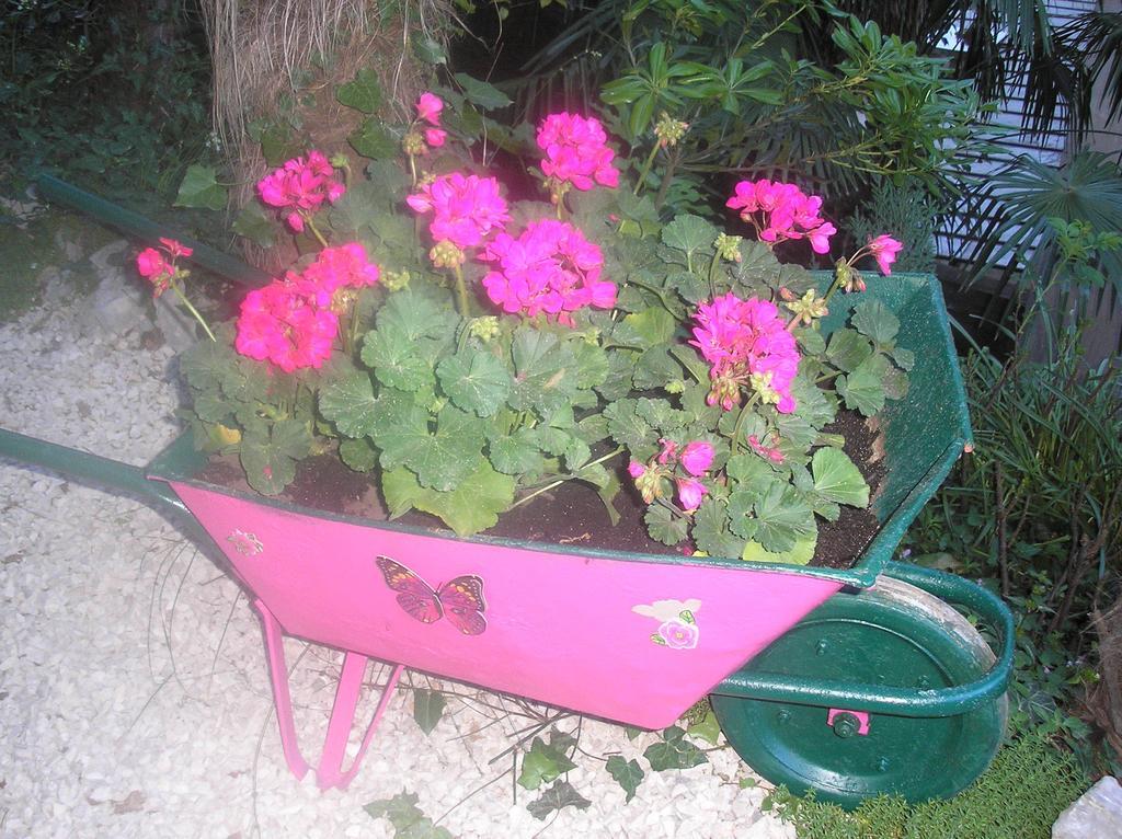 Apartment Nena With Private Free Parking Opatija Exterior foto